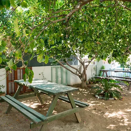 Appartamento Diamante Guest House-stone